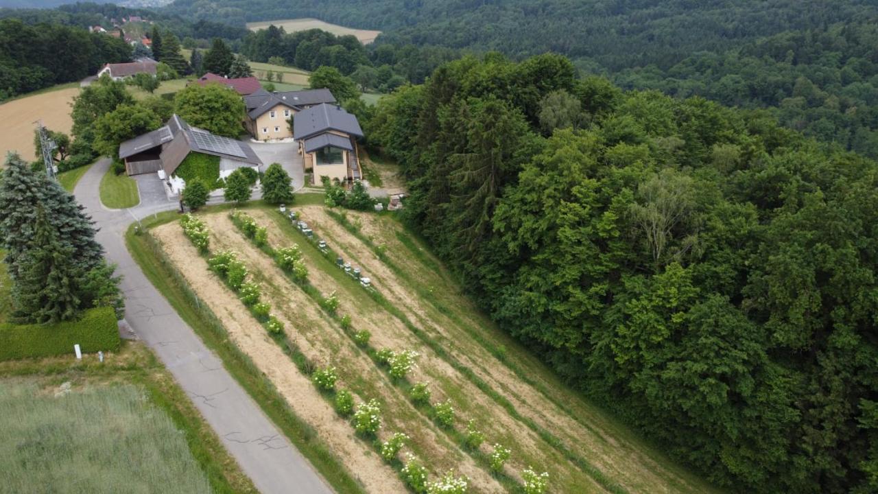 Kirchbach in SteiermarkBeim Bergjoslアパートメント エクステリア 写真