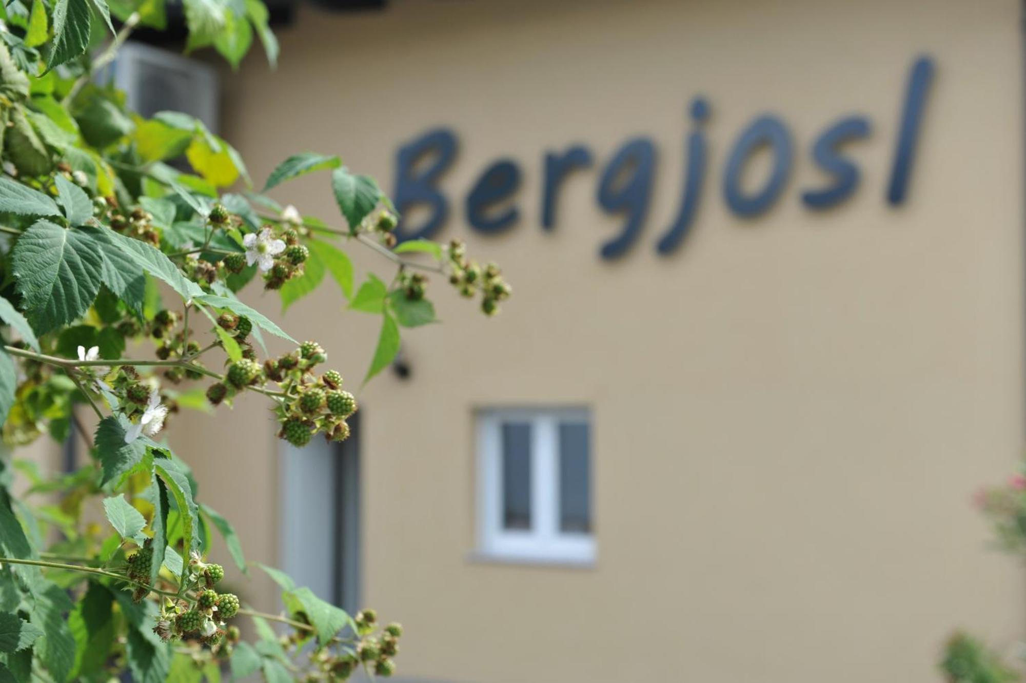 Kirchbach in SteiermarkBeim Bergjoslアパートメント エクステリア 写真